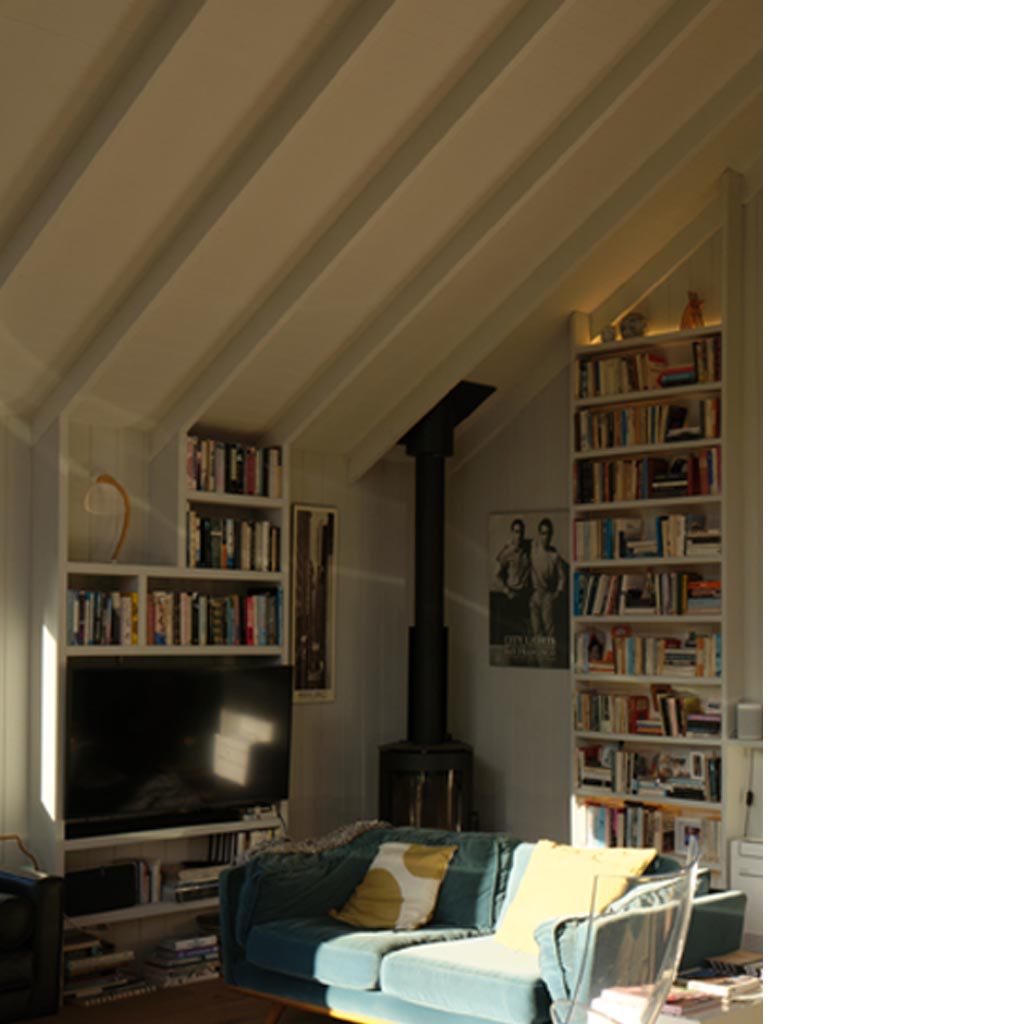 Bookshelves 1024 copy